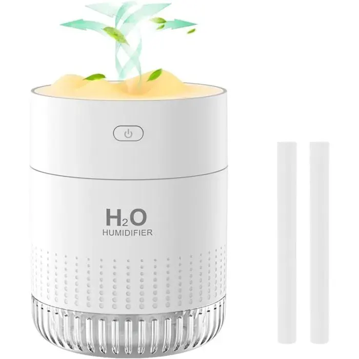 Mini Humidificateur dair Portable Petit Humidificateur avec Brume Fraîche pour Les plantes Humidificateur Personnel de Bure