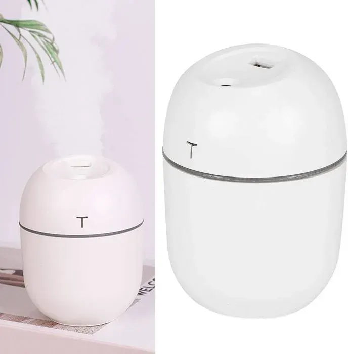 Mini humidificateurs portables pour chambre à coucher 220 ml humidificateur dair personnel USB mignon pour enfants maison bure