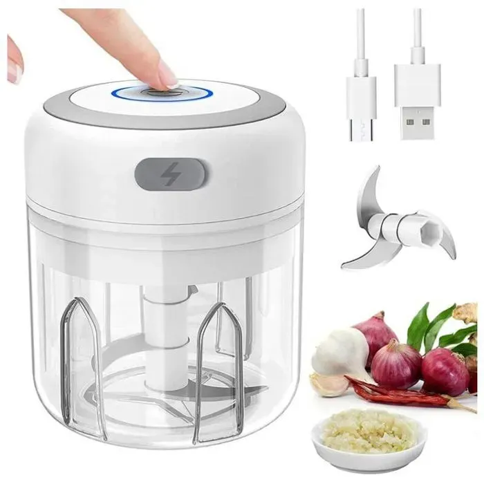 Mini mixeur hachoir électrique petit mixeur presse-ail hachoir à légumes hachoir à oignons et à ail hachoir multifonction pour