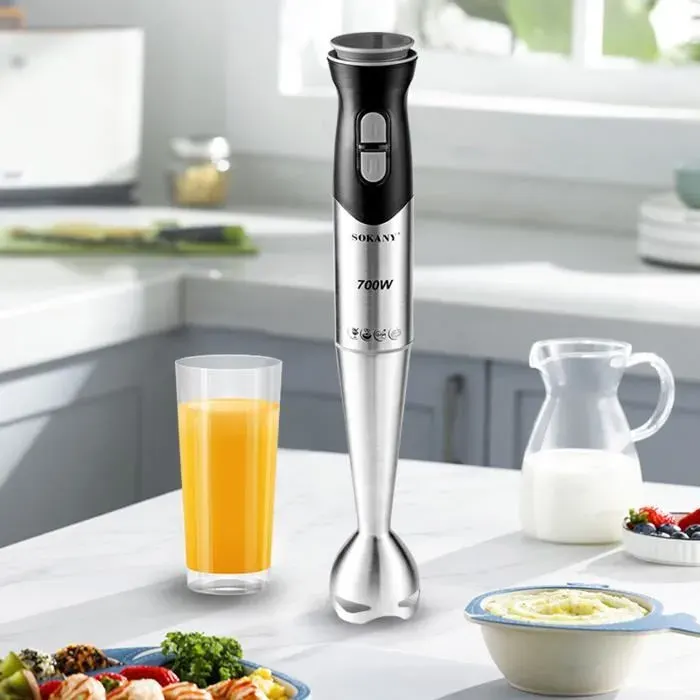 Mixeur Plongeant - BLEOSAN - 700W - Acier Inoxydable - 2 Vitesses - Facile à Nettoyer