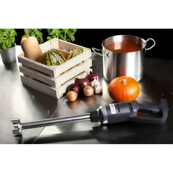 Mixeur Plongeant - ROYAL CATERING - RCSM-500-400 - 500 W - 16 000 t/min - 400 mm