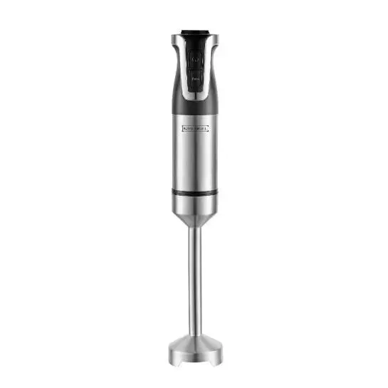 Mixeur plongeant - ROYALTY LINE - Royalty Line - 800 W - Acier inoxydable - Vitesse variable — coloris Gris