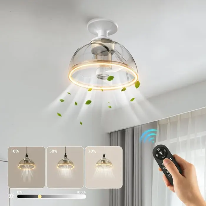 Plafonnier avec ventilateur 20 cm silencieux petit ventilateur de plafond avec lumière LED et télécommande 8 W 860 lm 3000 K — coloris Gris