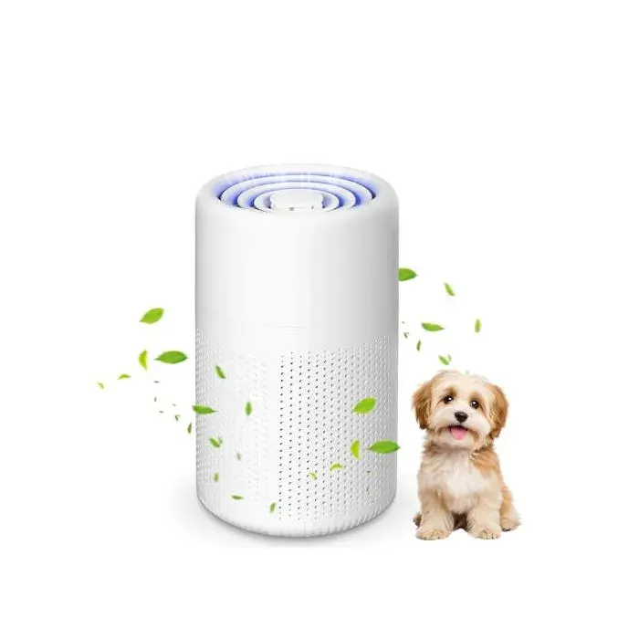 Purificateur dair - AONAT - H13 HEPA - Purification 360° - Charbon actif - Portable silencieux