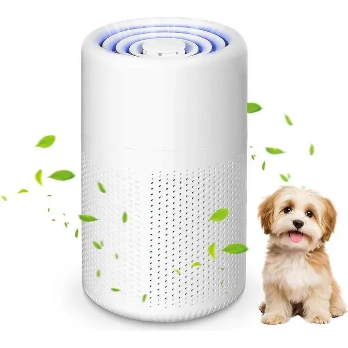 Purificateur dair Chambre H13 HEPA Purificateur éliminant de la poussière de la fumée et des odeurs danimaux Air Purifi