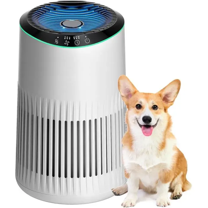 Purificateur dair - Convient aux personnes allergiques - Convient à la maison à la chambre et au bureau - Filtre à air - Élimine