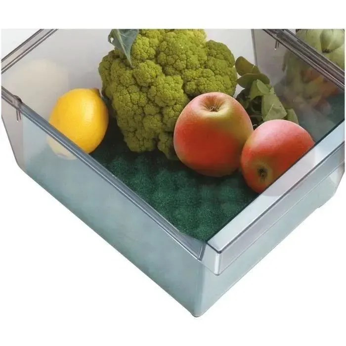 RAYEN - Base conservante pour bac frigo 47x30 cm
