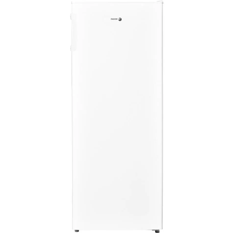 Réfrigérateur 1 porte FAGOR FUPP220RSDB