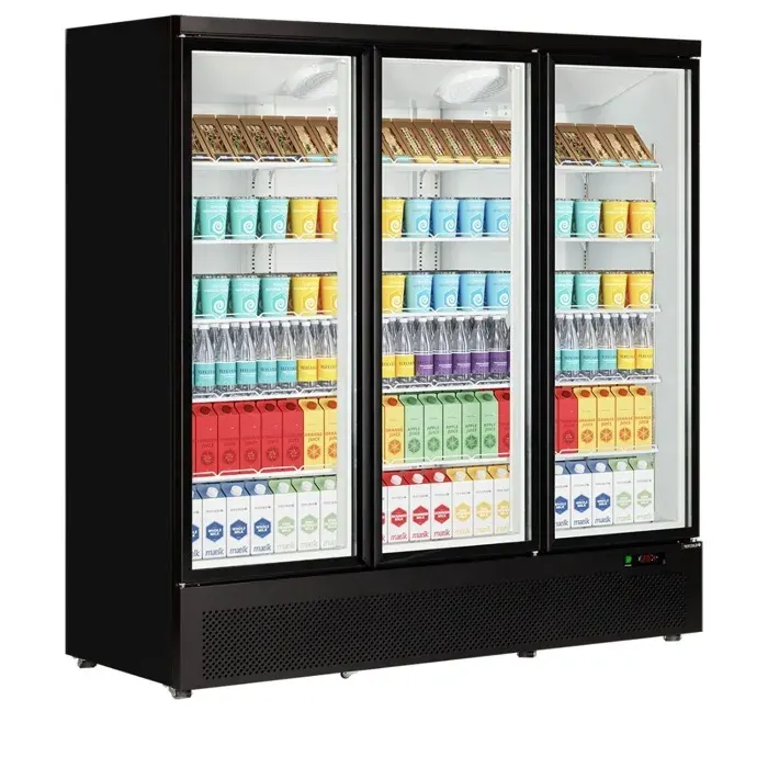 Réfrigérateur Professionnel vitré Atom Maxi C3DB - Tefcold