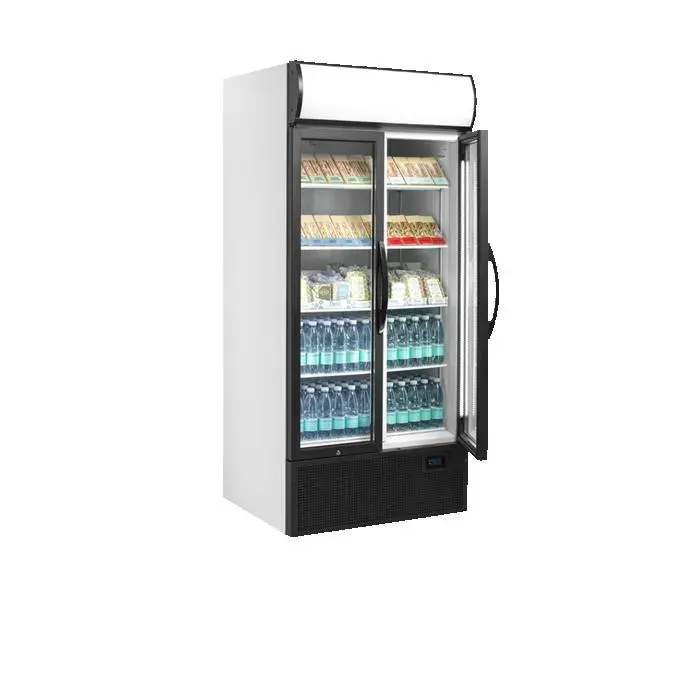 Réfrigérateur Vitré FSC891H - TEFCOLD