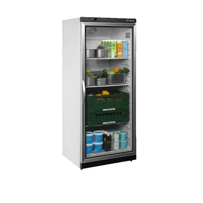 Réfrigérateur Vitré GN2/1 UR600G - TEFCOLD