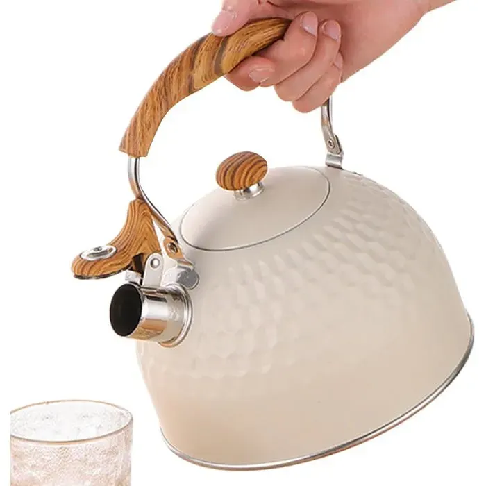 ®RisingFF Bouilloire électrique sifflante de 25 L adaptée aux cuisinières électriques adaptée à la maison et au restaurant