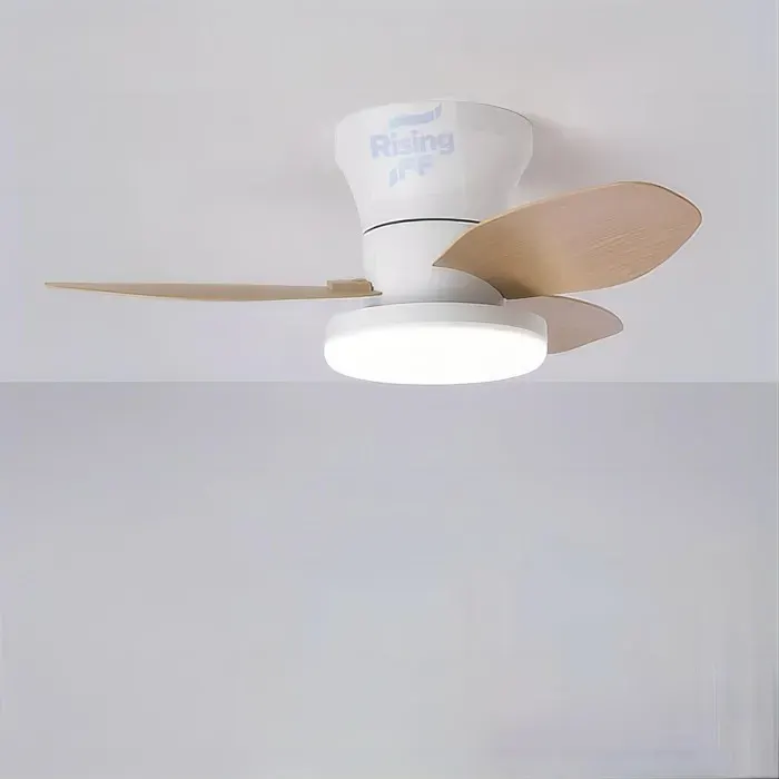 ®RisingFF Ventilateur de plafond silencieux de 65 cm avec lumière télécommande 3 modes déclairage LED 6 vitesses Couleur du