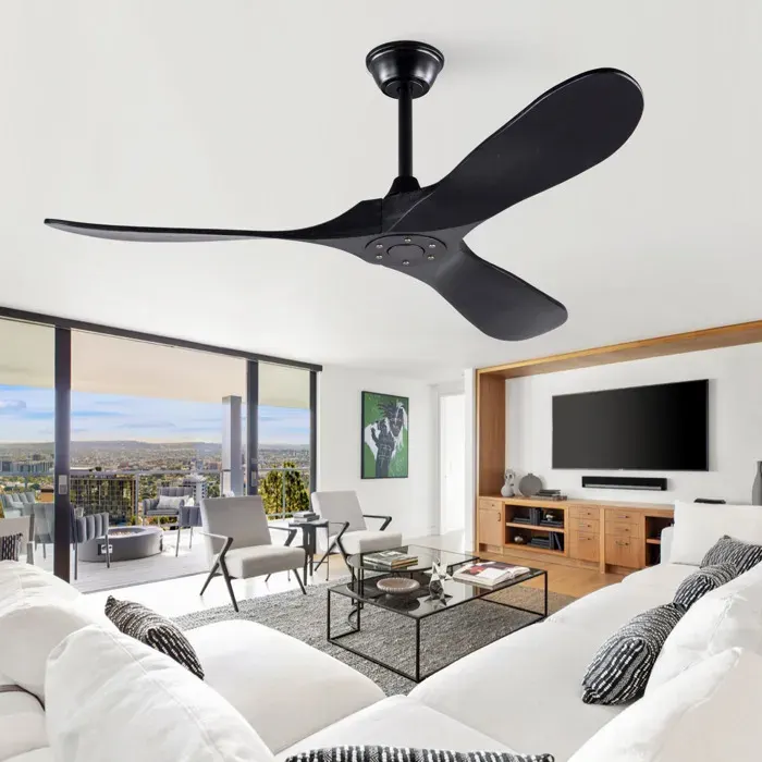 ROVRYN Ventilateur de plafond 132 cm noir 3 pales en bois sans éclairage télécommande 6 vitesses