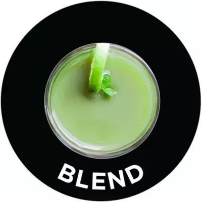 Russell Hobbs - Blender Nutriboost 23180-56 — vue 4