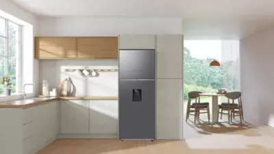 Samsung - Réfrigérateur 2 Portes Rt47cg6726s9 — vue 9