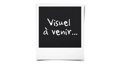 Sèche-linge pompe à chaleur Asko T411HD.W 11 Kg
