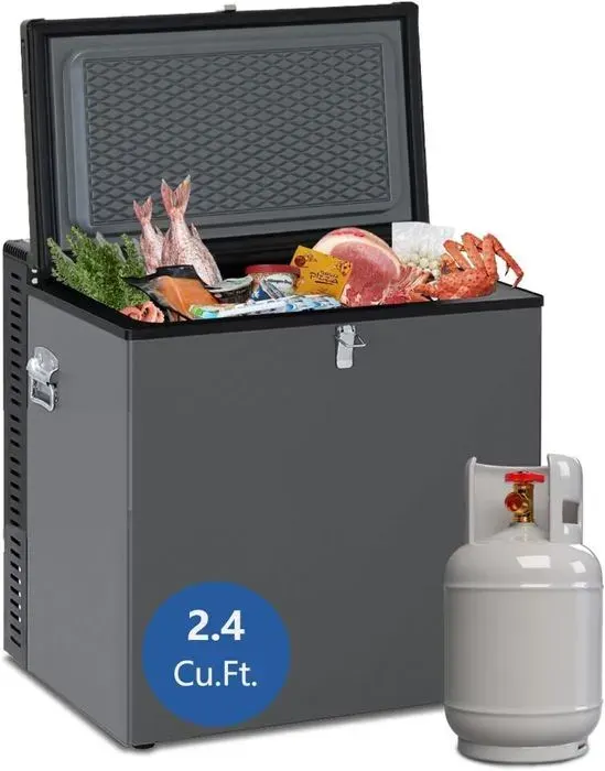 Smad Propane Réfrigérateur 12V / 220v / LPG Camping Panier de Rangement Amovible