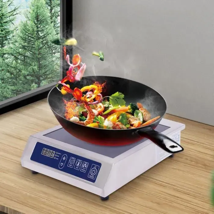Table de cuisson à induction 3500W 11 niveaux de puissance indicateur LED détection automatique