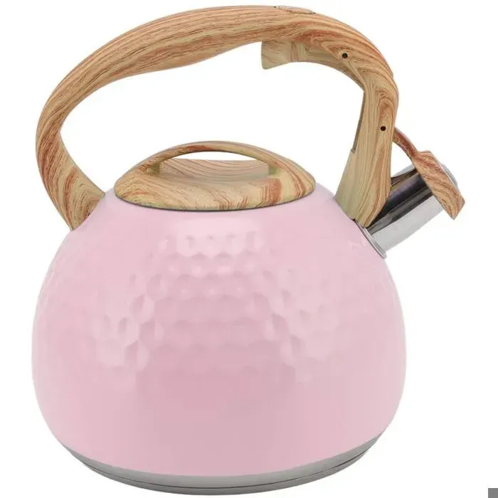 Théière théière à sifflet en acier inoxydable 3L avec poignée résistante à la chaleur bouilloire moderne cuisinière électrique