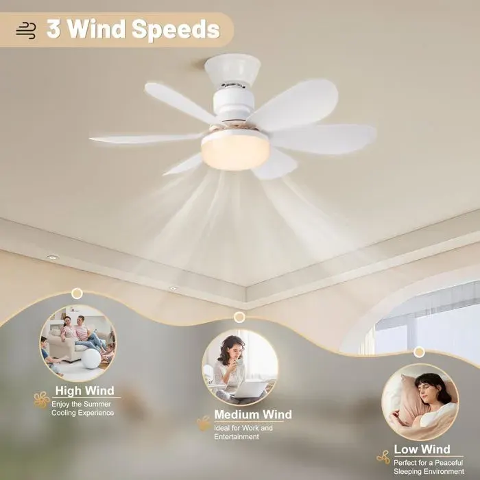 Ventilateur avec télécommande Lumière et contrôle