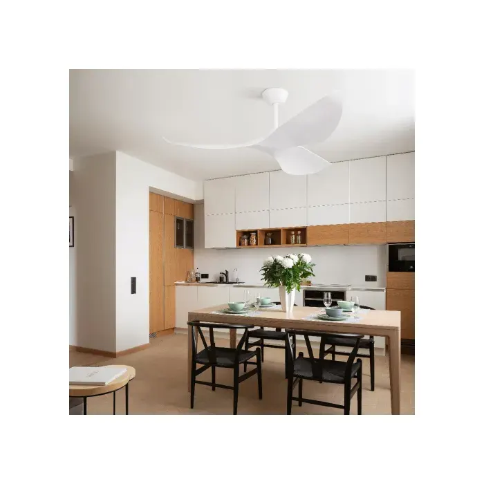ventilateur de plafond-50