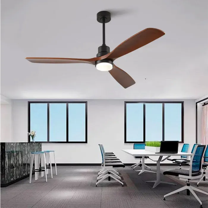 Ventilateur de plafond 60 pouces avec lumière LED AESVAR 3 pales en bois moteur DC réversible 6 vitesses télécommande — coloris Blanc