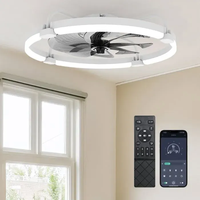 Ventilateur de Plafond avec Lumière 60cm Plafonnier Ventilateur avec Pales Amovibles & APP 6 Vitesses Silencieux Dimmable (3000