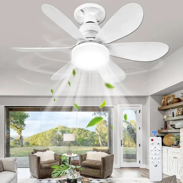 Ventilateur de Plafond avec Lumière et Télécommande52CM 40W Lampe Ventilateur Plafond avec Douille E273 Modes de Gradation