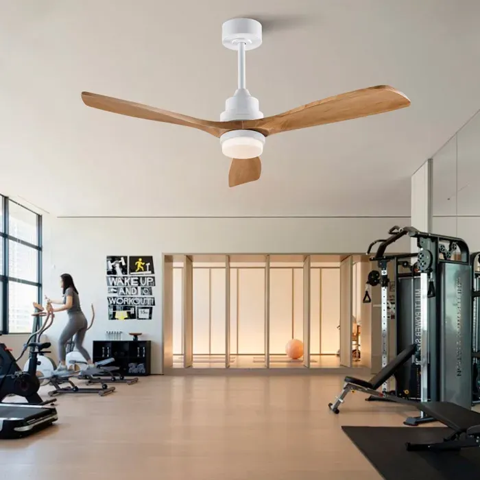 Ventilateur de plafond avec lumière EVRYAE 132 cm télécommande dimmable 6 vitesses moteur DC bois massif blanc naturel