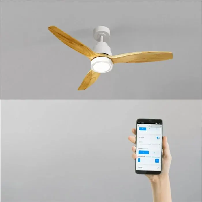 Ventilateur de plafond - Create - Avec lumière - Silencieux - 6 vitesses - WiFi