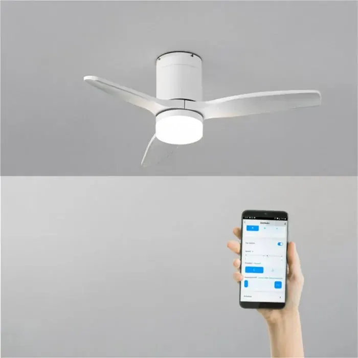 Ventilateur de plafond - Create - Avec lumière - Silencieux - Fonction été/hiver - Wi-Fi