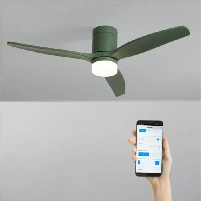 Ventilateur de plafond - Create - Avec lumière - Vert sauge - Ø132cm - Fonction été/hiver