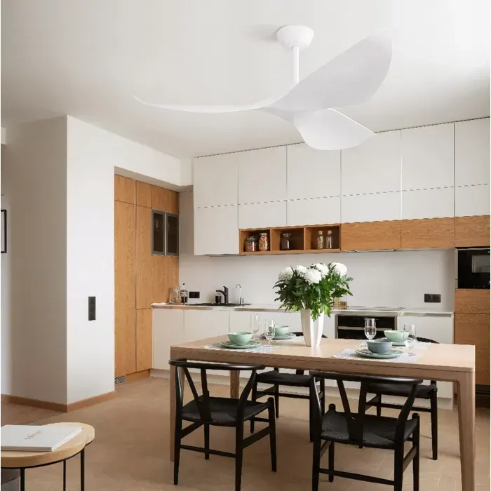 Ventilateur de plafond EVRYAE 965 cm sans lumière moteur DC réversible télécommande 6 vitesses blanc