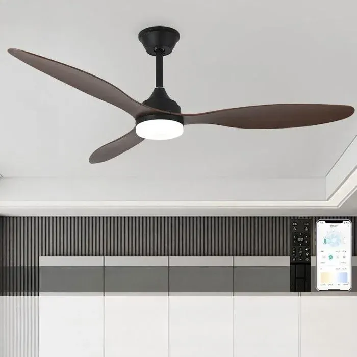 Ventilateur de Plafond Grande Taille 132 cm Brun Plafonnier LED 6 Vitesses Silencieux pour Salon Commerce et Patio