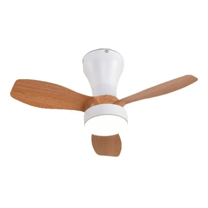 Ventilateur de plafond intégré avec éclairage ventilateur détachable et suspension (61 cm de diamètre).