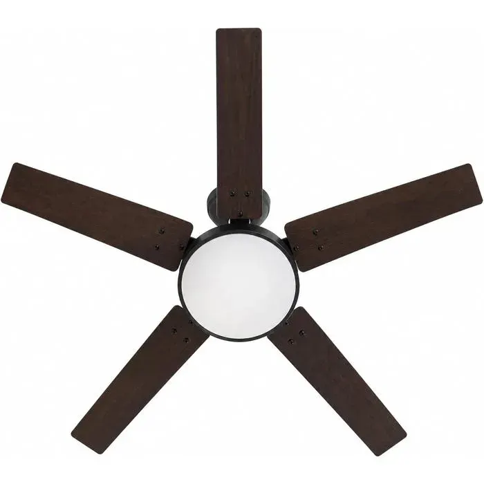 Ventilateur De Plafond Led Télécommande 5 Pales Réversibles 6 Vitesses Lumière Dimmable Minuterie Mémoire 107 Cm Noir