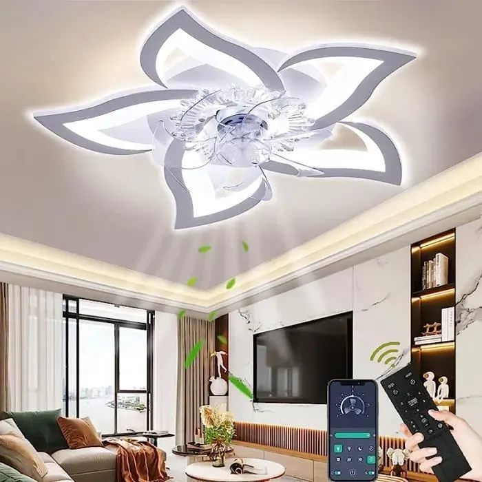 Ventilateur de Plafond - RUMOCOVO - Wildcat - 3 Températures - 6 Vitesses - LED Éclairant