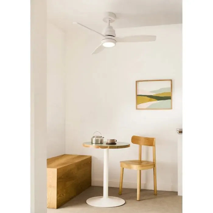 Ventilateur de plafond silencieux - CREATE - Pales en ABS technique - Certification IP44 - Fonction été/hiver
