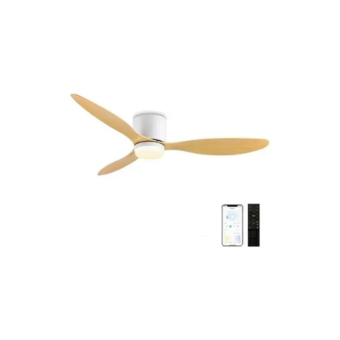 Ventilateur plafond 42 pouces DC 6 vitesses télécommande