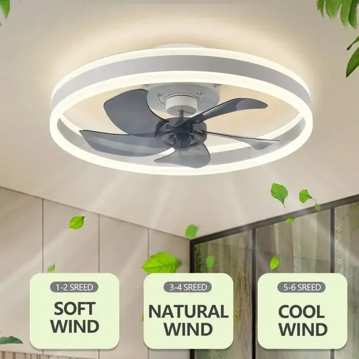 Ventilateur Plafond Silencieux Décoratif Plafonnier 50cm Blanc 4400lm 55W 6 Vitesses Télécommande Silencieux Pour Salon Chambre
