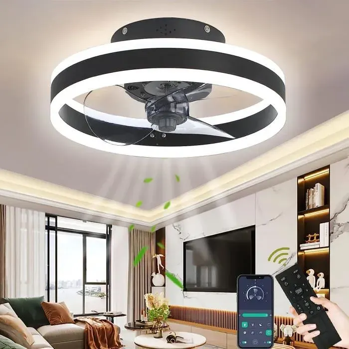 Ventilateurs de Plafond Avec Lampe et Télécommande - Plafonnier Dimming Timing 6 Wind Speed Salon Ventilateur Plafonnier - Noir