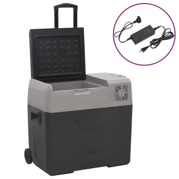 vidaXL Glacière avec Roue et Adaptateur Réfrigérateur de Voiture Glacière Électrique Randonnée Pique-nique Camping Noir 3154636