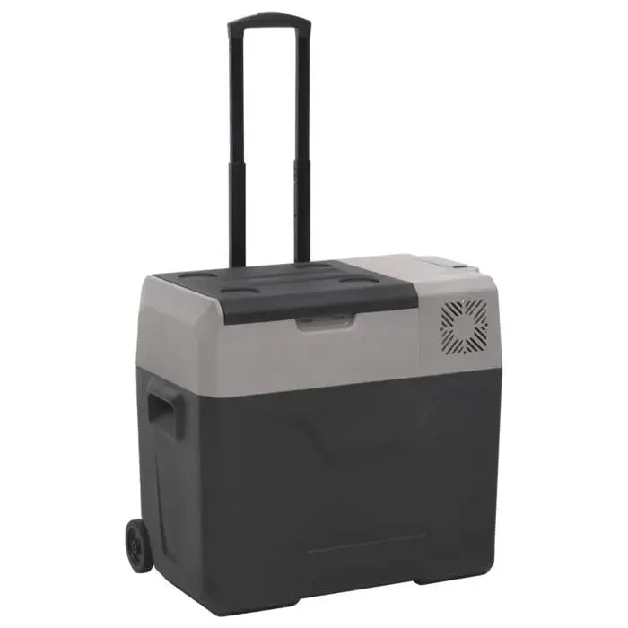 vidaXL Glacière avec roue et poignée noir et gris 50 L polypropylène glacière électrique réfrigérateur à compresseur 51783.