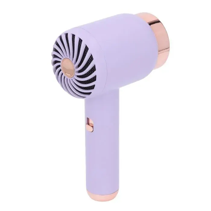 Vvikizy sèche-cheveux ionique sans fil Sèche-cheveux ionique chaud-froid double Mode electromenager conservation Gris Violet