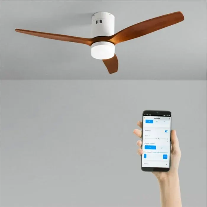 WIND CALM - Ventilateur de