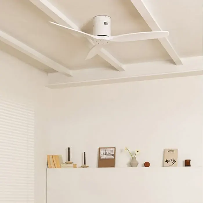 WIND CALM - Ventilateur de