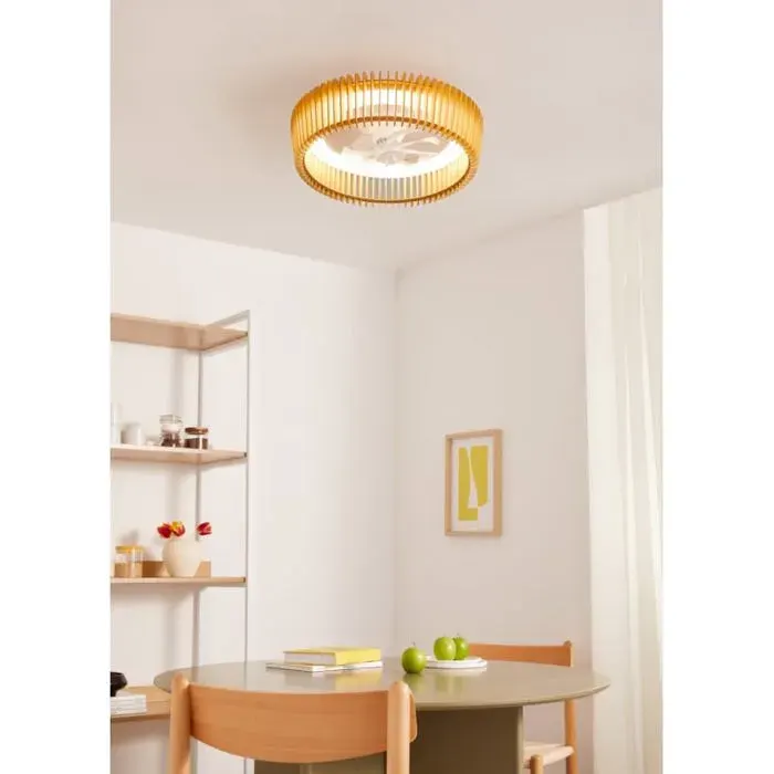 WIND CRAFT S - Ventilateur de plafond 20W silencieux Ø58cm pales orientables avec eclaraige LED avec eclaraige sans wifi