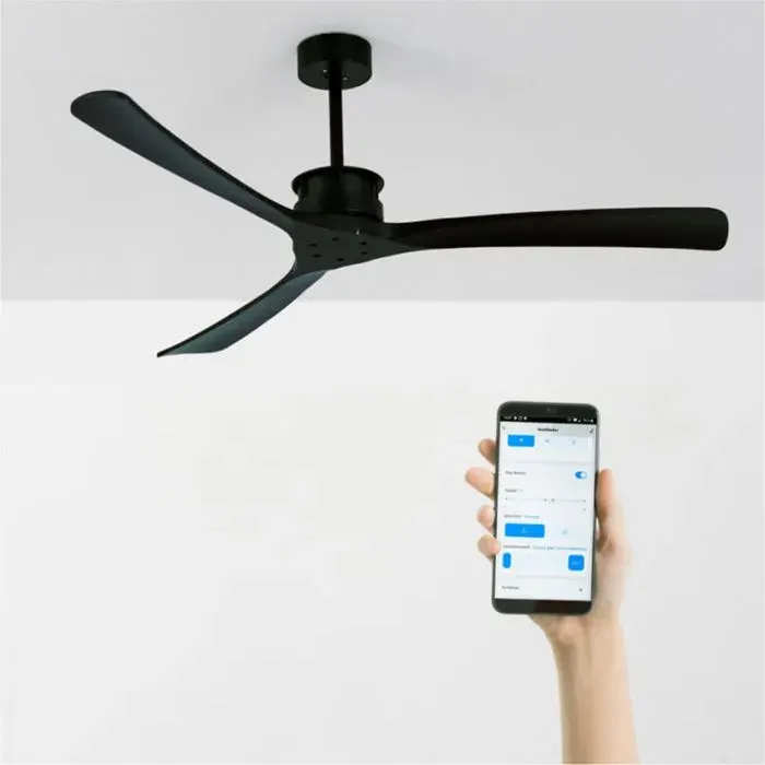 WIND LARGE - Ventilateur de